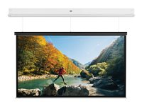 Da-Lite DescenderPro - Projektorduk - takmontering - motoriserad - 230 V - 152.76" (388 cm) - 4:3 - Matte White - matt vit, RAL 9016 10104744