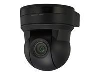 Sony EVI-D90P - Övervakningskamera - PLZ - färg - 550 TVL - S-video, komposit - DC 12 V EVI-D90P