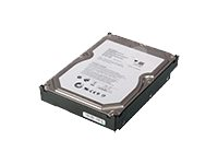 Hitachi - Hårddisk - 4 TB - inbyggd - 3.5" - SATA 3Gb/s - 7200 rpm - för px12-400r Acronis Backup 70BN; px12-400r Network Storage Array 70BN, 70C8 4N40A33713