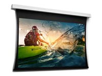 Da-Lite Tensioned DescenderPro - Projektorduk - takmonterbar - 172" (437 cm) - 16:10 - HD Progressive 1.1 Contrast - RAL 9016 10104736