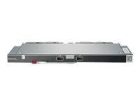 HPE Synergy Interconnect Link - Expansionsmodul - 10Gb Ethernet x 12 - för Synergy 12000 Frame 779218-B21