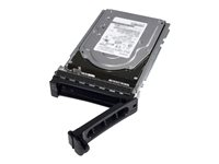 Dell - Kundsats - hårddisk - 2 TB - hot-swap - 3.5" - SATA 6Gb/s - 7200 rpm - för PowerEdge R240, R340, R450, R540, R550, R640, R650, R6515, R6525, R740, R750, R7515, R7525 161-BBRC