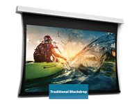 Da-Lite Tensioned DescenderPro - Projektorduk - takmontering - motoriserad - 230 V - 181.1" (460 cm) - 16:10 - Matte White (Tensioned) - RAL 9016 10106682