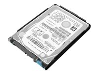 Lenovo - Hårddisk - 1 TB - inbyggd - 2.5" - SATA 6Gb/s - 5400 rpm - buffert: 128 MB - för ThinkCentre M710q; M710s; M710t; M715s; M715t; M910q; M910s; M910t (2.5"); M910x 4XB0P01013