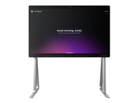 Cisco - Golvstativ - för P/N: CS-BRD55P-MM-NR-K9, CS-BRD55P-NR-K7, CS-BRD55P-NR-K9, CS-BRD55P-NR-K9++ CS-BRD55P-FS=