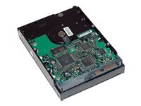 HP - Hårddisk - 2 TB - inbyggd - 3.5" - SATA 6Gb/s - 7200 rpm - buffert: 64 MB - för Workstation Z2 G4, Z2 G9, Z230, Z4 G4, Z420, Z6 G4, Z620, Z640, Z8 G4, Z820; ZCentral 4R QB576AA