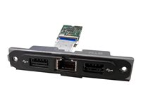 Intel LAN & USB Add-On Assembly - Expansionsmodul - 2.5GBase-T x 1 + USB 2.0 x 2 NUCIOALUWS