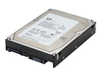 HP - Hårddisk - 600 GB - inbyggd - SAS - 15000 rpm - för Workstation Z420, Z620, Z820 VM647AA