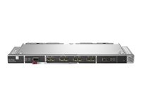 Brocade - Expansionsmodul - 32Gb Fibre Channel SFP+ x 28 - för Synergy 12000 Frame Q2E56A