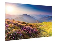Da-Lite FullVision - Projektorduk - väggmontering - 130" (330 cm) - 16:10 - Matte White (Tensioned) 10600725