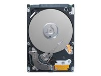 Dell - Hårddisk - 320 GB - inbyggd - 2.5" - SATA 3Gb/s - 7200 rpm - för Latitude E5440, E5520, E5540, E6330, E6440, E6540; OptiPlex 7020; Precision M6800, R7610 400-26885