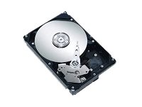 Lenovo - Hårddisk - 1 TB - inbyggd - 3.5" - SAS 6Gb/s - 7200 rpm - för ThinkServer RS140 (3.5") 4XB0F28669