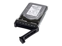 Dell - Hårddisk - krypterat - 2.4 TB - hot-swap - 2.5" (i 3,5-tums hållare) - SAS 12Gb/s - 10000 rpm - FIPS - Self-Encrypting Drive (SED) - för PowerEdge C6420 (2.5") 400-AVHE