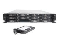 NETGEAR ReadyNAS 4220 RN422X124 - NAS-server - 12 fack - 48 TB - kan monteras i rack - SATA 3Gb/s - HDD 4 TB x 12 - RAID RAID 0, 1, 5, 6, 10, JBOD, 5 hot spare - RAM 8 GB - Gigabit Ethernet / 10 Gigabit Ethernet - iSCSI support - 2U RN422X124-100NES