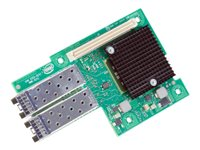 Intel Ethernet Server Adapter X520-DA2 - Nätverksadapter - PCIe 2.0 x8 - 10GbE X520DA2OCP