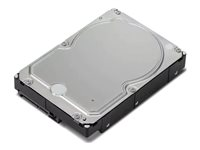 Lenovo - Hårddisk - 6 TB - inbyggd - 3.5" - SATA 6Gb/s - 7200 rpm - för ThinkStation P2; P330 Gen 2; P340; P350; P5; P520; P720; P920 4XB0X87802