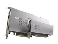 Intel Flex 170 - GPU-beräkningsprocessor - Intel Flex 170 - PCIe 4.0 x16 - återanvänd UCSC-GPUFLEX170-RF
