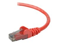 Belkin High Performance - Patch-kabel - RJ-45 (hane) till RJ-45 (hane) - 2 m - CAT 6 - hakfri - röd A3L980CP02MRDHS