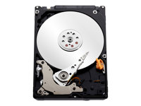 WD Blue WD3200AAKX - Hårddisk - 320 GB - inbyggd - 3.5" - SATA 6Gb/s - 7200 rpm - buffert: 16 MB WD3200AAKX