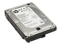 HP - Hårddisk - 3 TB - inbyggd - 3.5" - SATA 6Gb/s - 7200 rpm - buffert: 64 MB - för Workstation Z1, Z230, Z420, Z620, Z640 (3.5"), z800, Z820 QF298AA