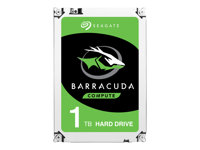 Seagate Guardian BarraCuda ST1000LM048 - Hårddisk - 1 TB - inbyggd - 2.5" - SATA 6Gb/s - 5400 rpm - buffert: 128 MB ST1000LM048