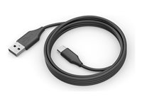 Jabra PanaCast - USB-kabel - 24 pin USB-C (hane) till USB typ A (hane) - 2 m 14202-32