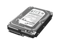 Lenovo - Hårddisk - 3 TB - inbyggd - 3.5" - SATA 6Gb/s - 7200 rpm - buffert: 64 MB - för ThinkStation C30 (3.5"); D30 (3.5"); E32 (3.5"); P300 (3.5"); P310; P500; P700; P900; S30 4XB0F18668