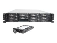 NETGEAR ReadyNAS 4220 RN422X122 - NAS-server - 12 fack - 24 TB - kan monteras i rack - SATA 3Gb/s - HDD 2 TB x 12 - RAID RAID 0, 1, 5, 6, 10, JBOD, 5 hot spare - RAM 8 GB - Gigabit Ethernet / 10 Gigabit Ethernet - iSCSI support - 2U RN422X122-100NES