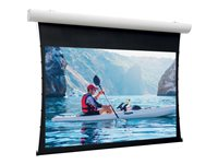 Da-Lite Tensioned Elpro Concept - Projektorduk - takmontering, väggmontering - motoriserad - 230 V - 112.99" (287 cm) - 16:9 - Matte White (Tensioned) - RAL 9016, matt vit 10101184