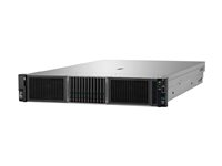 HPE ProLiant DL380 Gen11 - kan monteras i rack Xeon Silver 4510 2.4 GHz - 64 GB - SSD 2 x 480 GB P83120-425