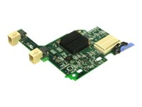 Emulex 10 GbE Virtual Fabric Adapter II for IBM BladeCenter - Nätverksadapter - PCIe 2.0 x8 - 10GbE - 2 portar - för BladeCenter HS22 7870; HS22V 7871; HS23E 8038; HX5 7873 00Y3266