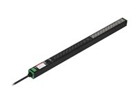 Schneider Basic - Kraftdistributionsenhet (kan monteras i rack) - vertikal - AC 200-240 V - 7.4 watt - 1-fas - ingång: IEC 60309 - utgångskontakter: 24 (20 x IEC 60320 C13, 4 x IEC 60320 C19) - 0U - 2 m sladd SEP6127G