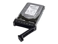 Dell - Hårddisk - krypterat - 8 TB - hot-swap - 3.5" - SAS 12Gb/s - nearline - 7200 rpm - FIPS 140-2 - Self-Encrypting Drive (SED) 400-AMRW