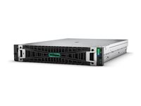 HPE ProLiant DL385 Gen11 - kan monteras i rack EPYC 9115 2.6 GHz - 64 GB - SSD 2 x 480 GB P81843-425